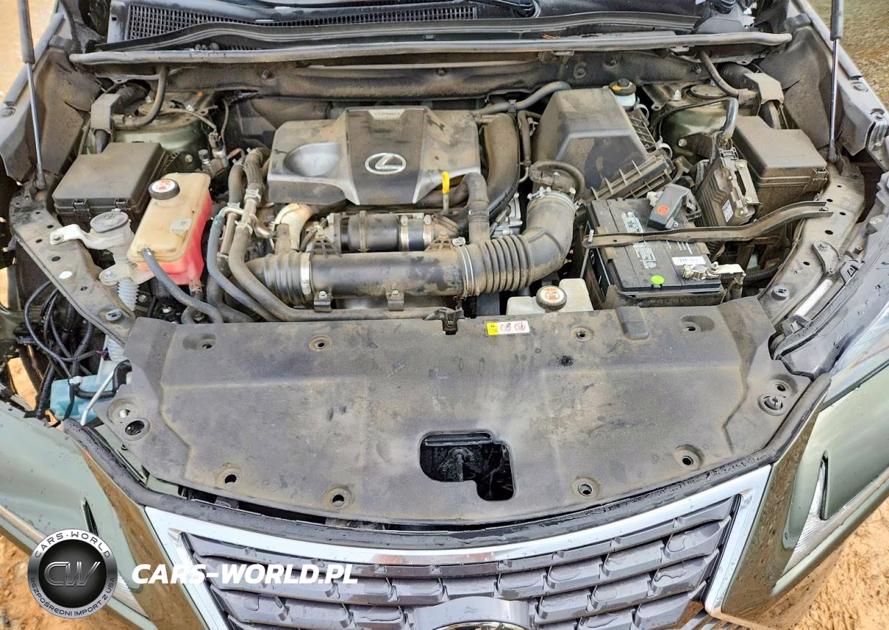 2021 Lexus Nx 300 Base VIN:JTJDARBZ2M2193130 - 12