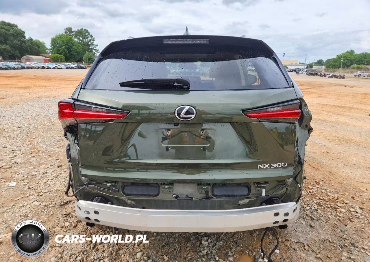 2021 Lexus Nx 300 Base VIN:JTJDARBZ2M2193130 - 6