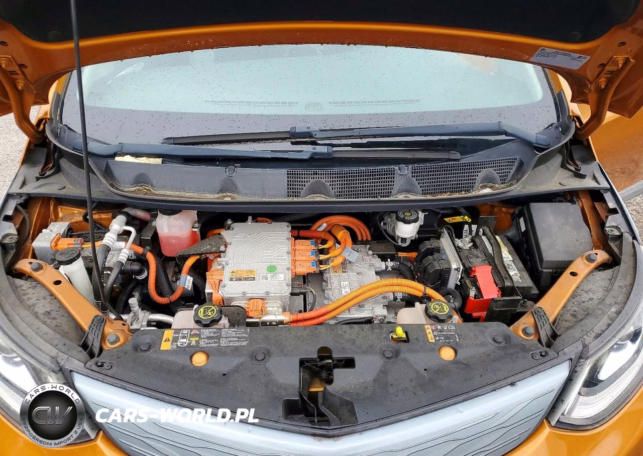 2017 Chevrolet Bolt Ev Lt VIN:1G1FW6S02H4188364 - 11