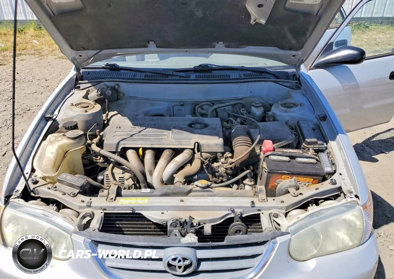 2001 Toyota Corolla Ce VIN:1NXBR12E01Z560703 - 11