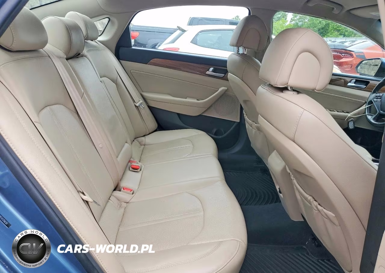 2015 Hyundai Sonata Eco VIN:5NPE24AA6FH125630 - 10