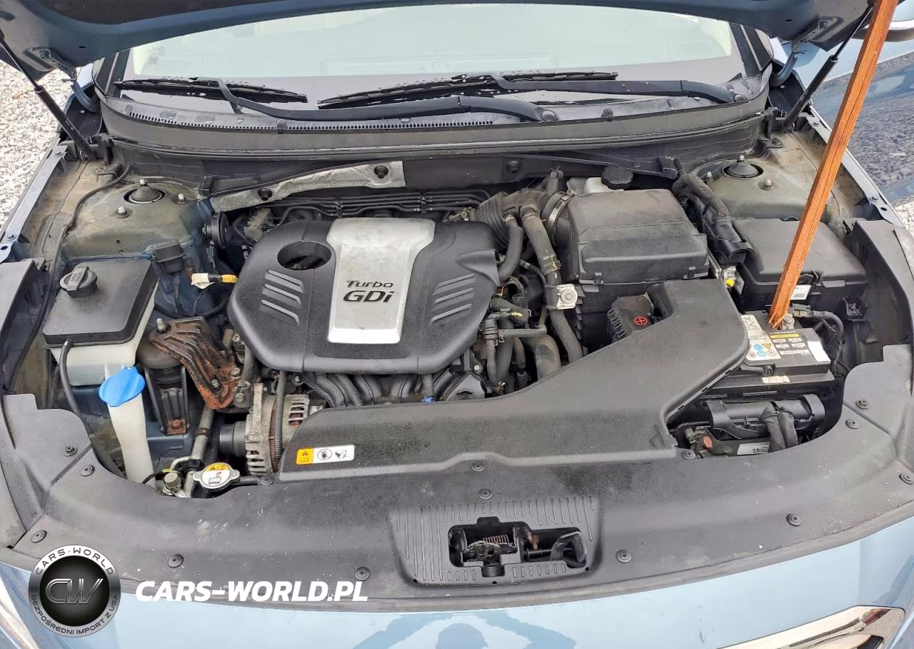2015 Hyundai Sonata Eco VIN:5NPE24AA6FH125630 - 11