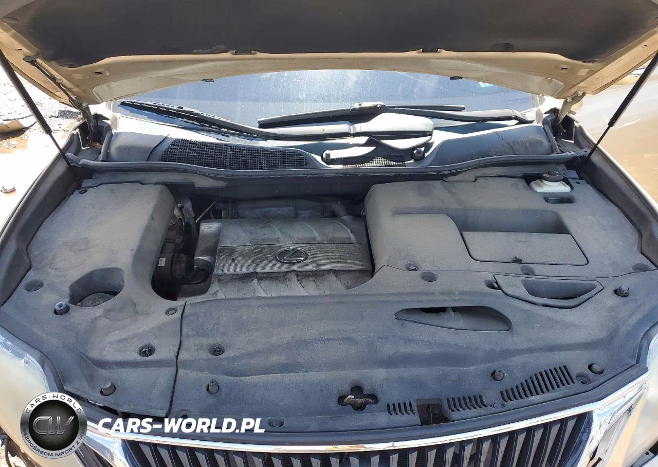 2010 Lexus Rx 350 VIN:2T2BK1BA0AC024476 - 12