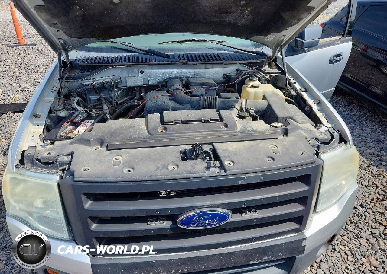 2010 Ford Expedition Xlt VIN:1FMJU1G56AEA43063 - 11
