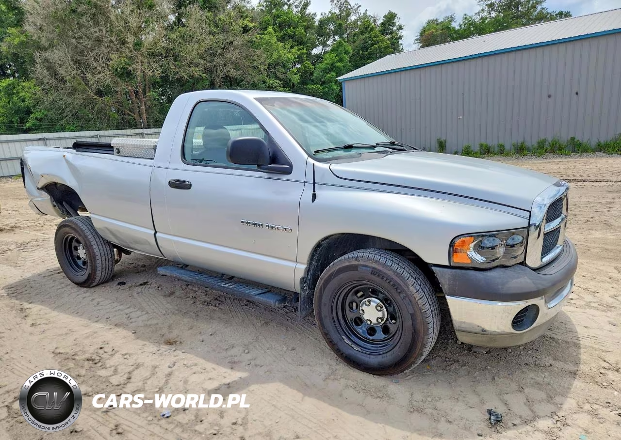 2002 Dodge Ram 1500 VIN:1D7HA16NX2J265522 - 4