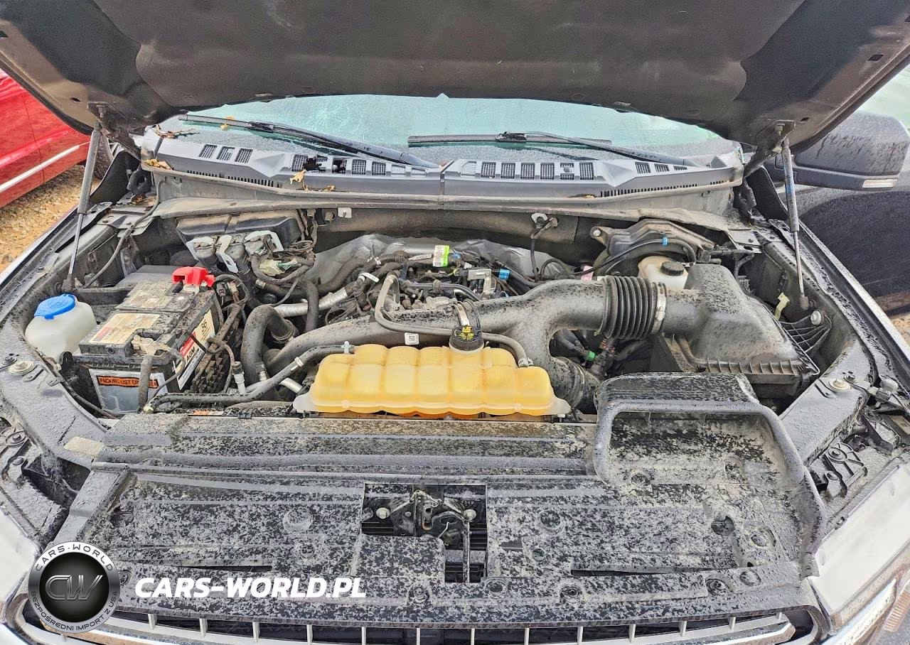 2020 Ford F150 Supercrew VIN:1FTEW1EP9LKE78345 - 11