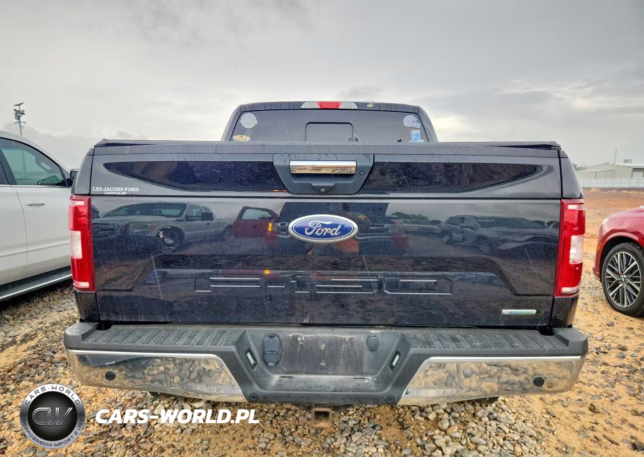 2020 Ford F150 Supercrew VIN:1FTEW1EP9LKE78345 - 6