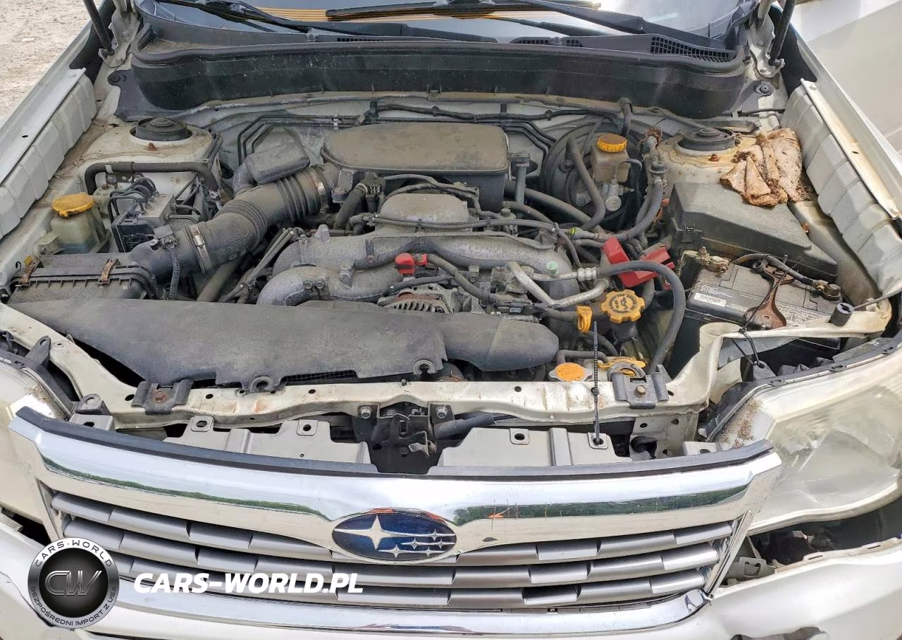 2010 Subaru Forester 2.5X Premium VIN:JF2SH6CC9AH771698 - 12