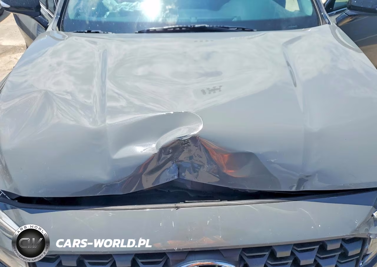 2022 Hyundai Santa Fe Xrt VIN:5NMS64AJ1NH427281 - 12