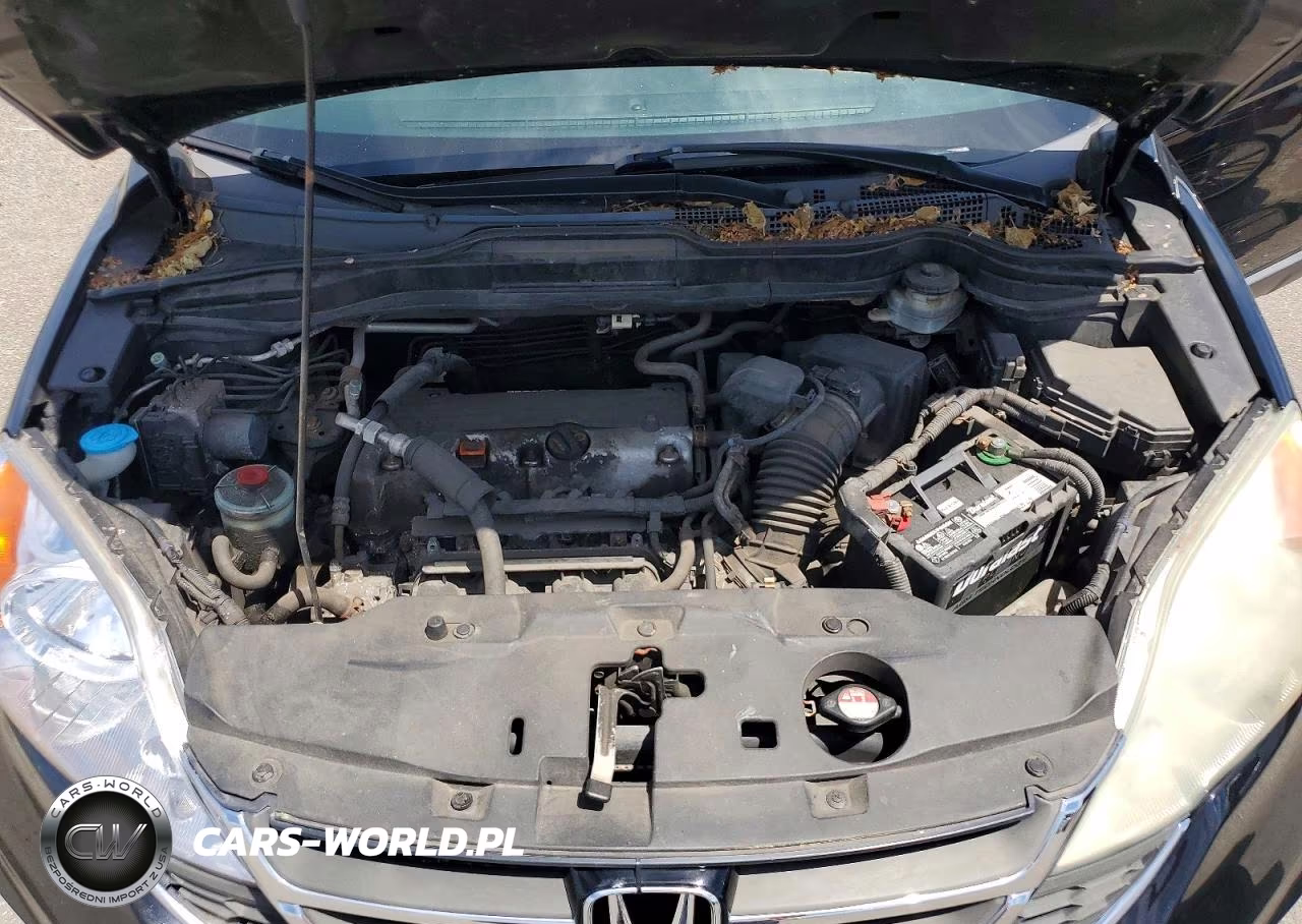 2010 Honda Cr-V Exl VIN:5J6RE4H7XAL002544 - 12