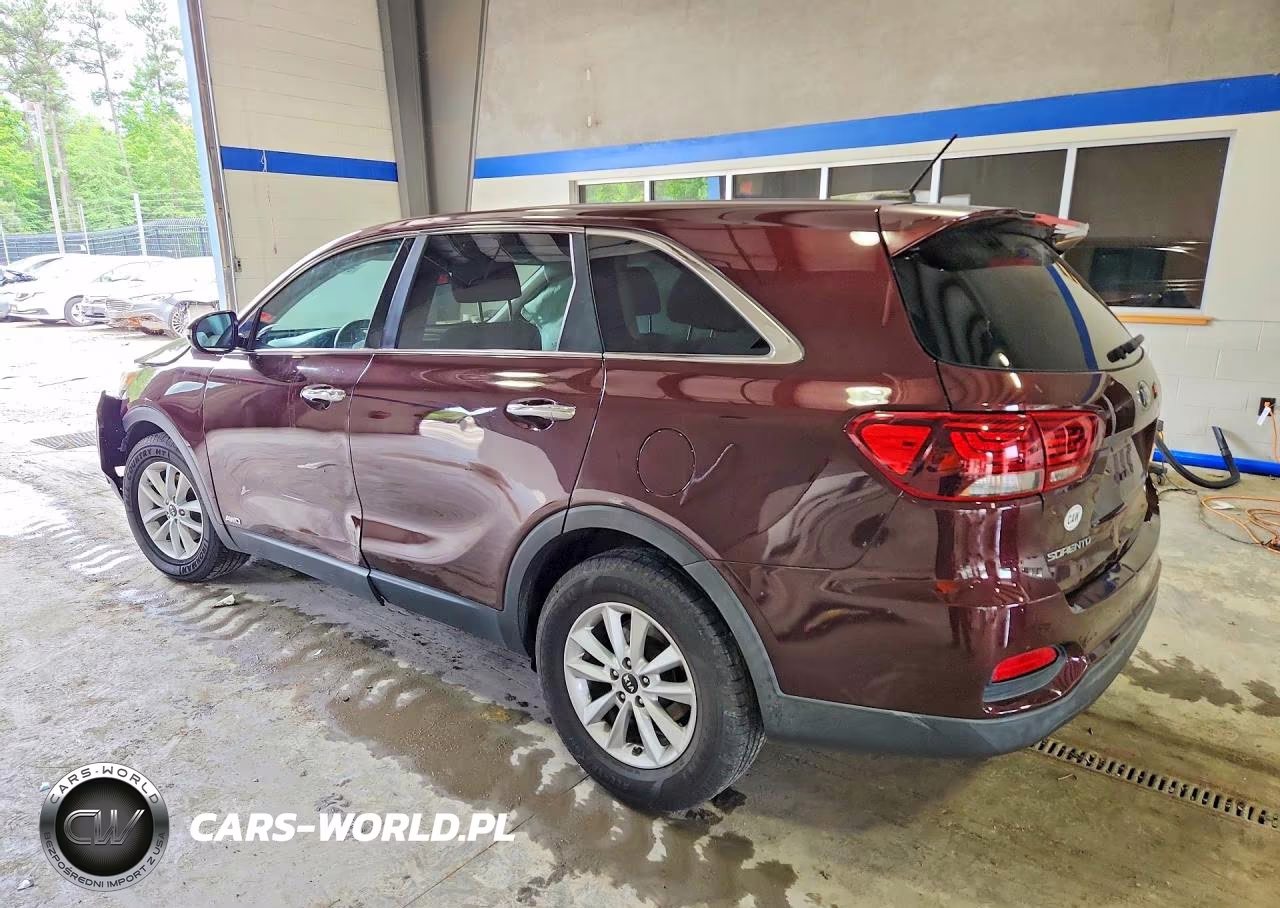 2019 Kia Sorento Lx VIN:5XYPGDA34KG437491 - 2
