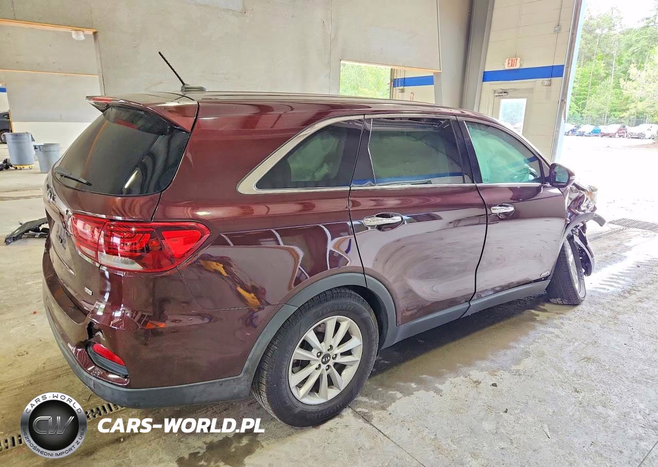 2019 Kia Sorento Lx VIN:5XYPGDA34KG437491 - 3