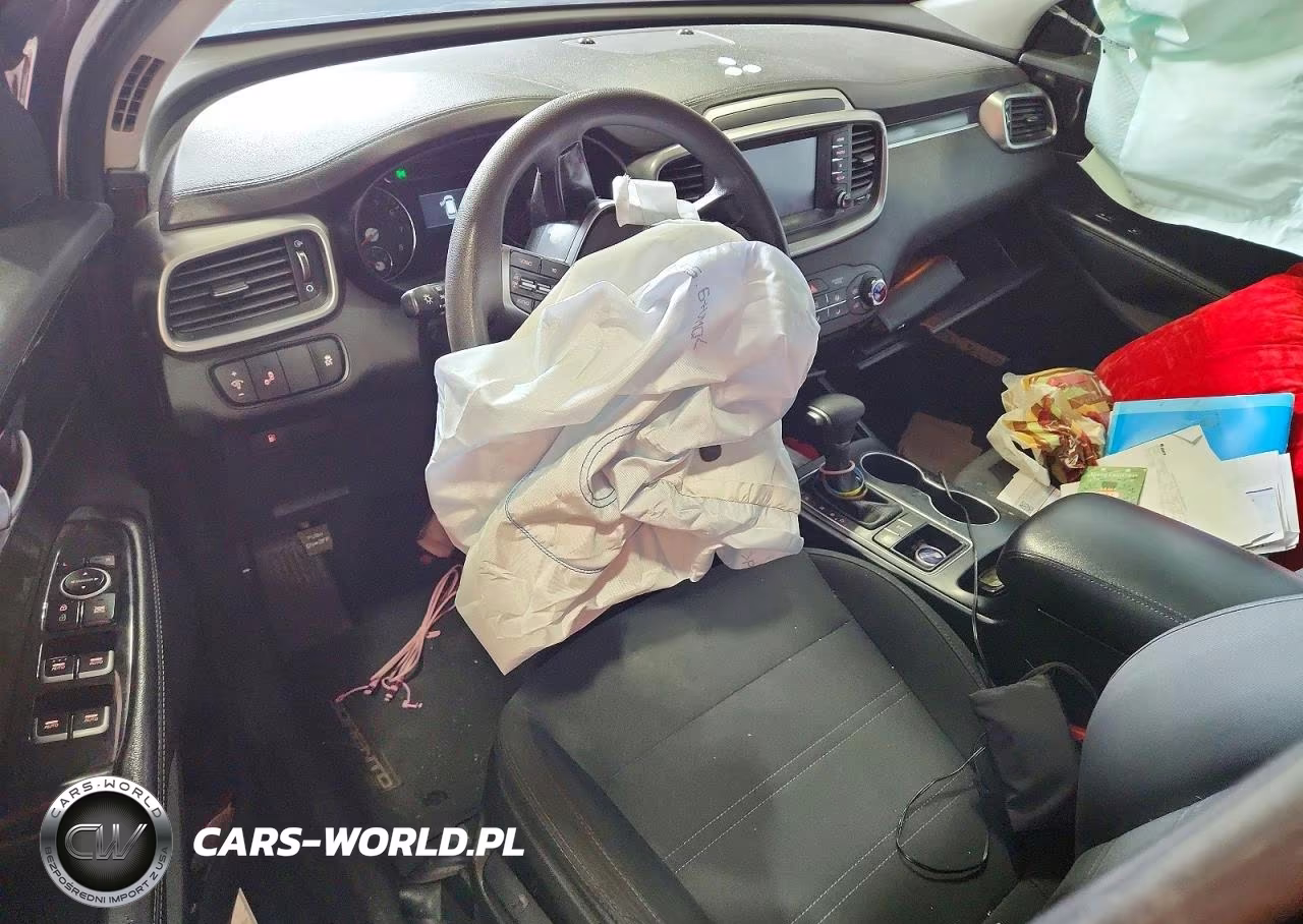 2019 Kia Sorento Lx VIN:5XYPGDA34KG437491 - 8