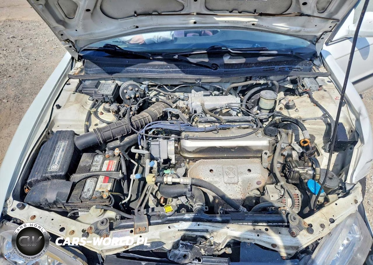 1995 Honda Accord Lx VIN:1HGCD5632SA164798 - 11