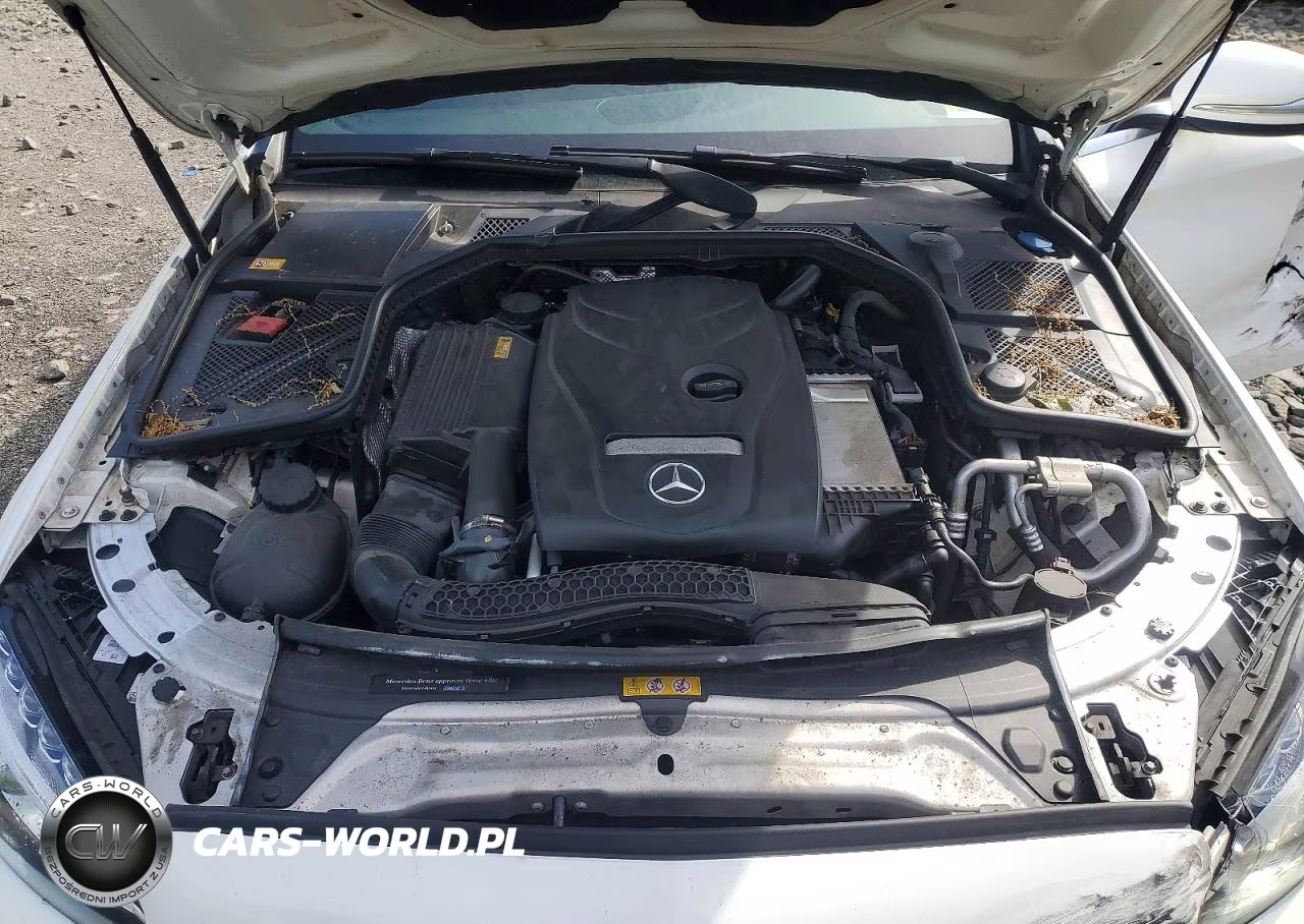 2015 Mercedes-Benz C 300 4Matic VIN:55SWF4KBXFU087462 - 11