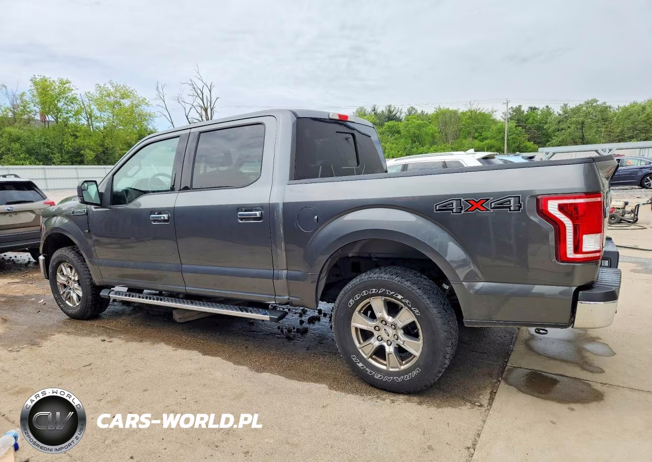 2017 Ford F150 Supercrew VIN:1FTEW1EFXHFB07301 - 2