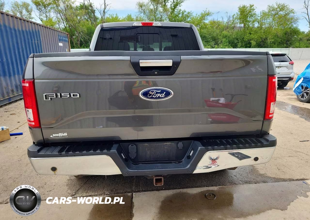 2017 Ford F150 Supercrew VIN:1FTEW1EFXHFB07301 - 6