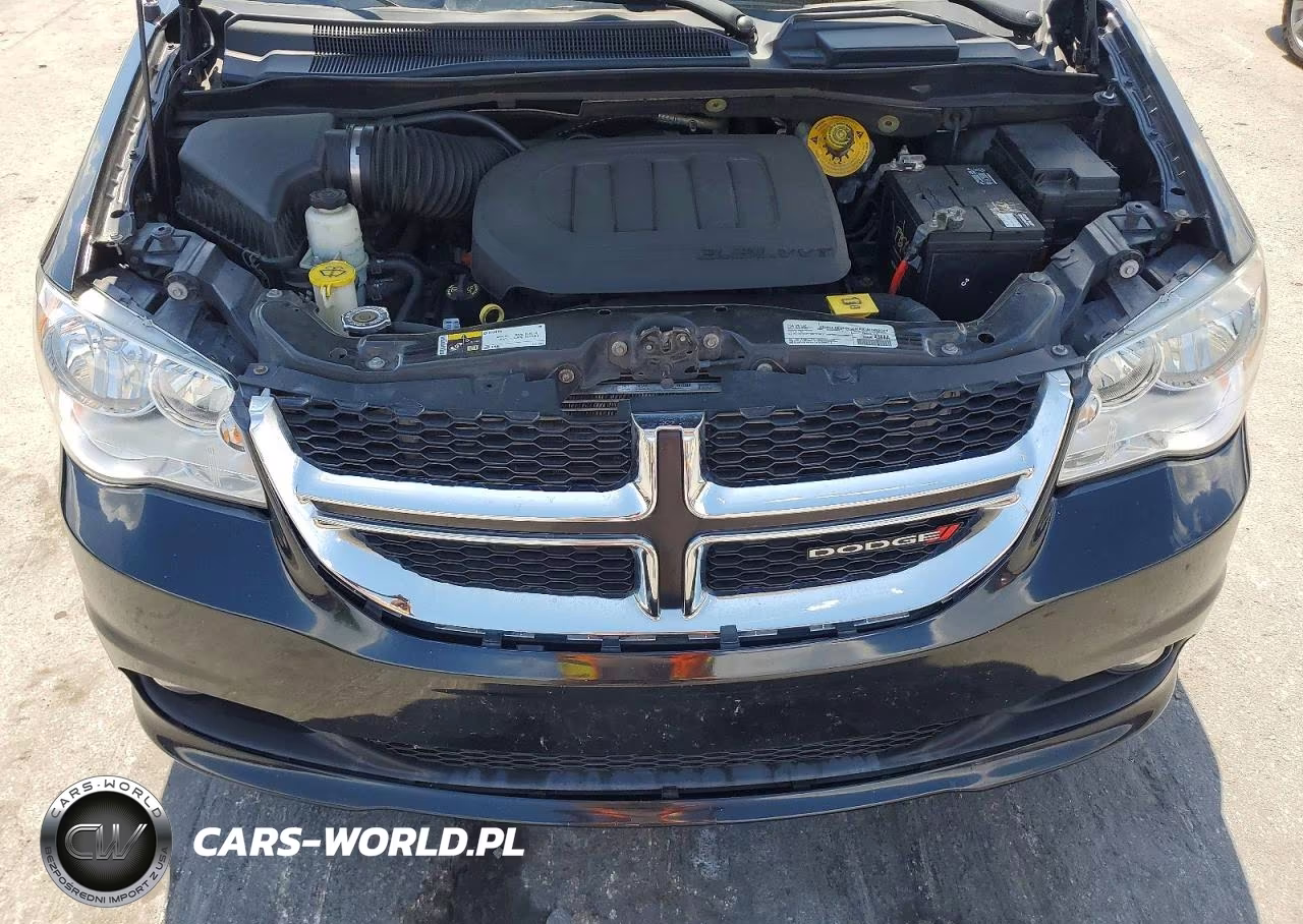 2019 Dodge Grand Caravan Sxt VIN:2C4RDGCG7KR774686 - 12