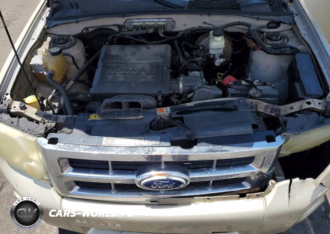 2010 Ford Escape Xlt VIN:1FMCU0DG7AKD12438 - 11