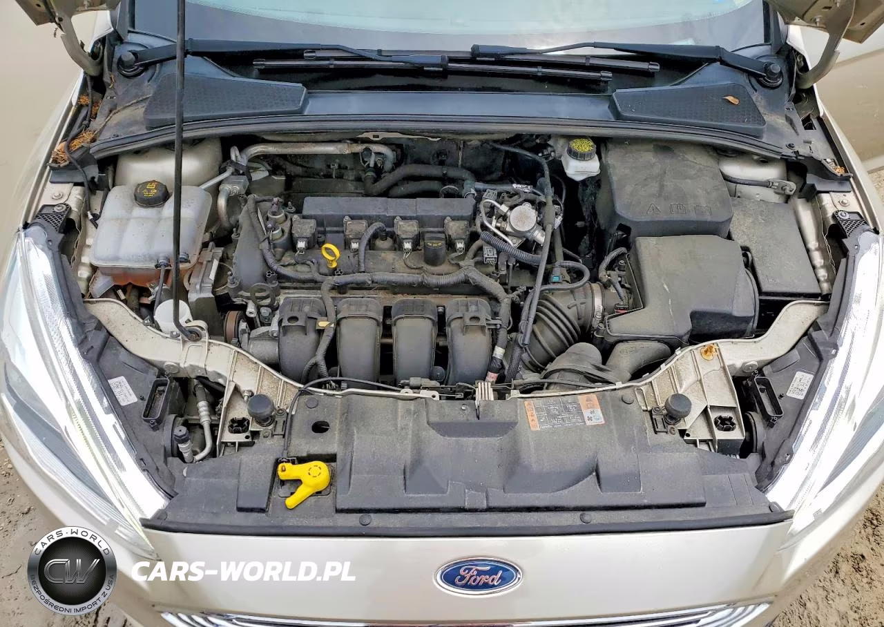 2018 Ford Focus Titanium VIN:1FADP3N2XJL325155 - 11