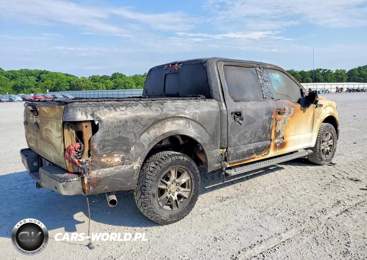 2015 Ford F150 Supercrew VIN:1FTEW1EF0FFA84222 - 3