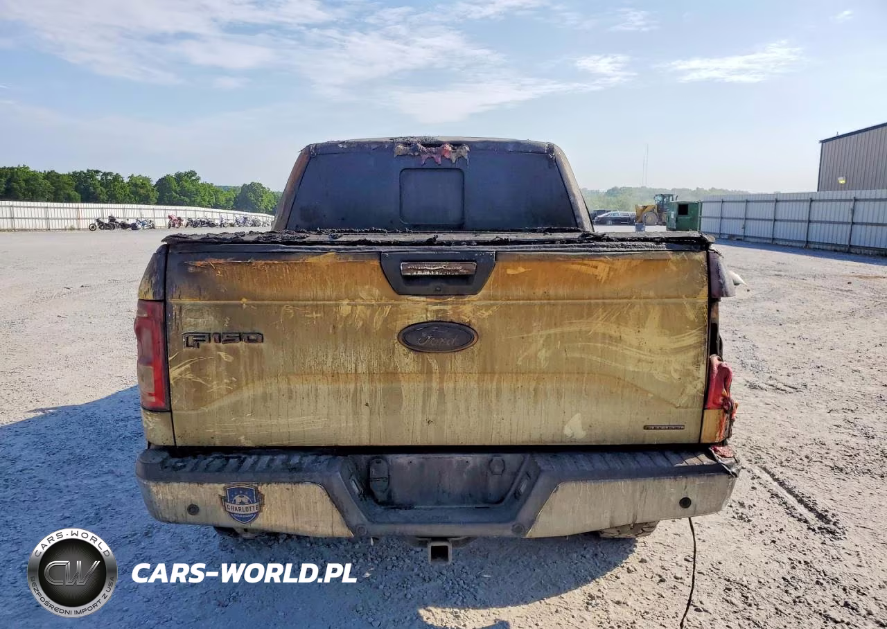 2015 Ford F150 Supercrew VIN:1FTEW1EF0FFA84222 - 6