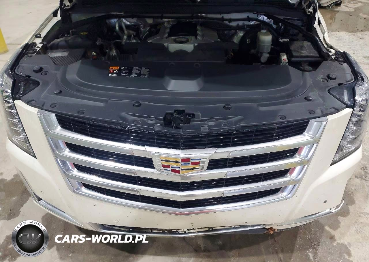 2015 Cadillac Escalade Luxury VIN:1GYS4MKJ0FR671970 - 12