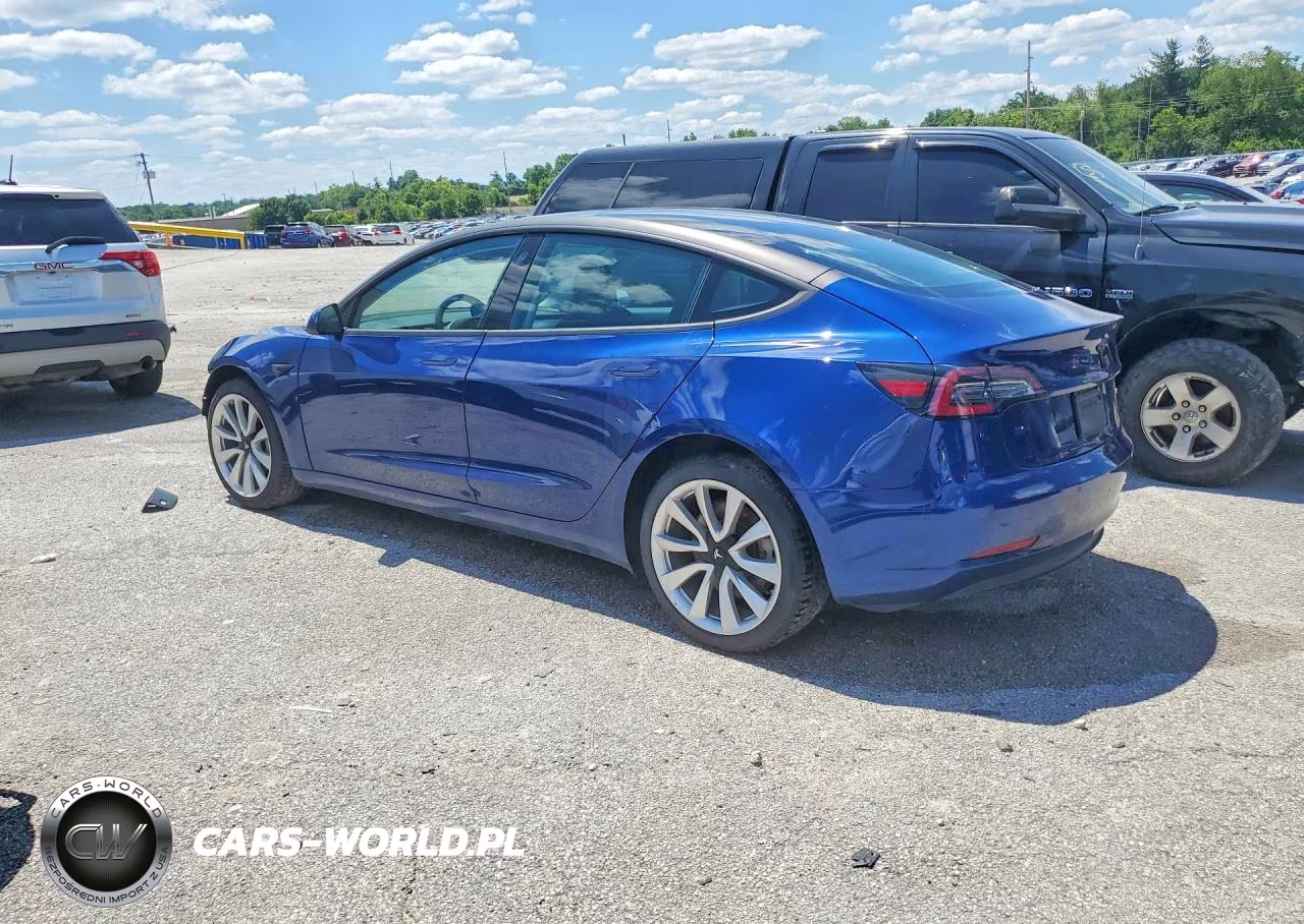 2019 Tesla Model 3 VIN:5YJ3E1EBXKF389863 - 2