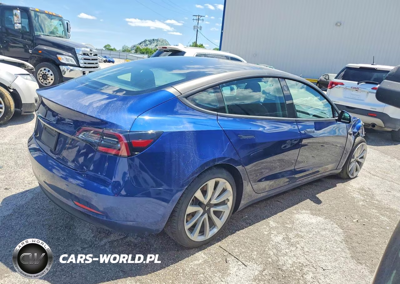 2019 Tesla Model 3 VIN:5YJ3E1EBXKF389863 - 3