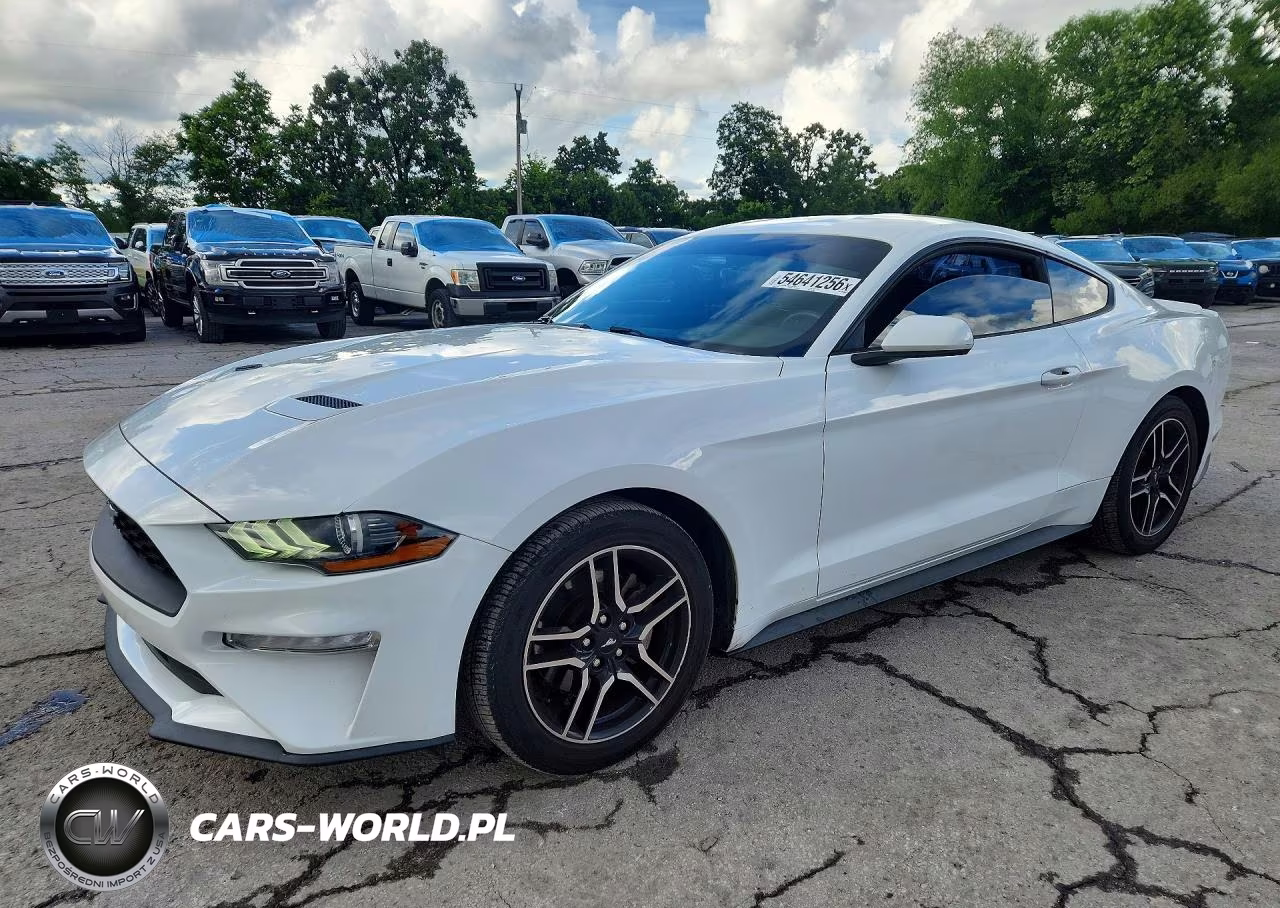 2019 Ford Mustang