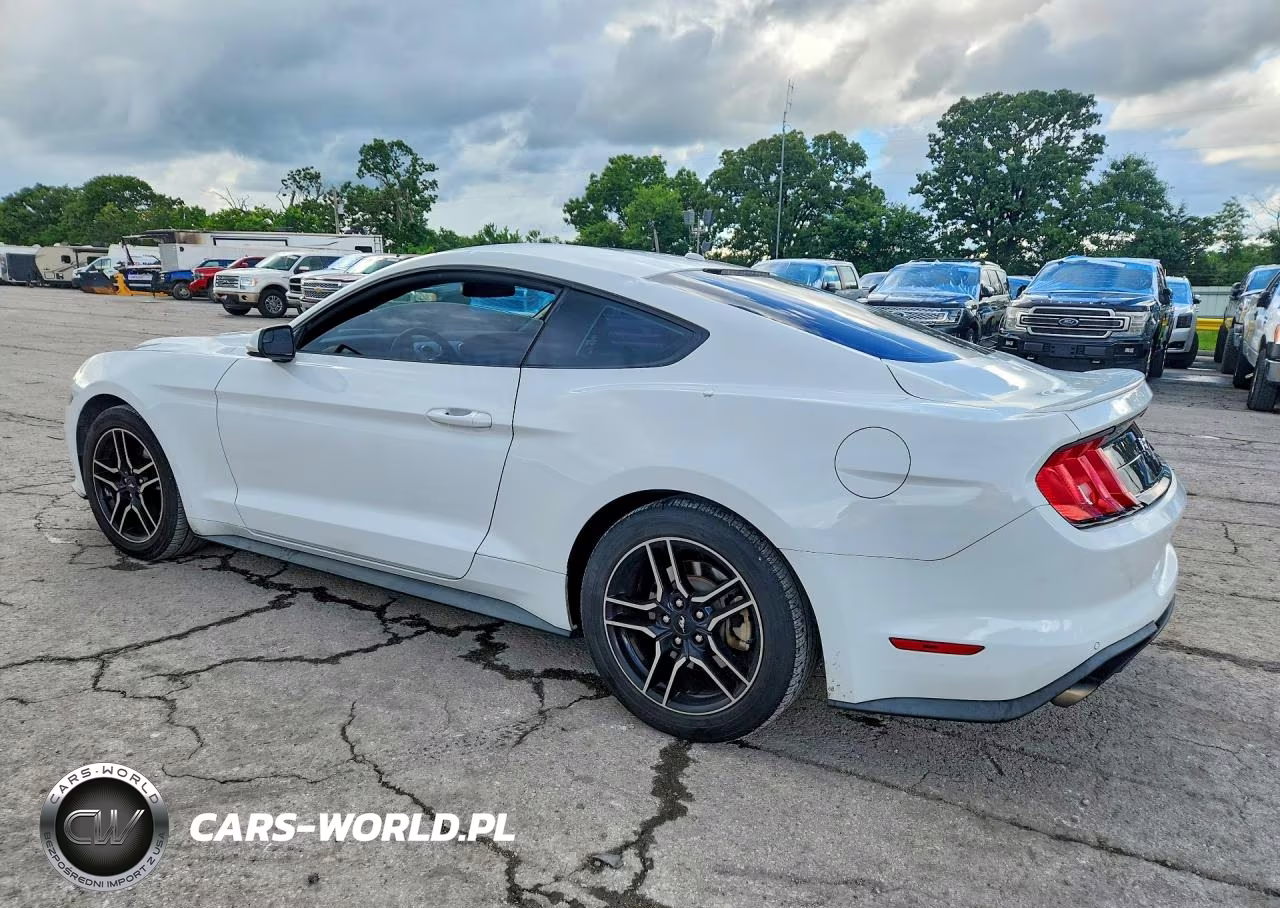2019 Ford Mustang VIN:1FA6P8TH6K5166590 - 2