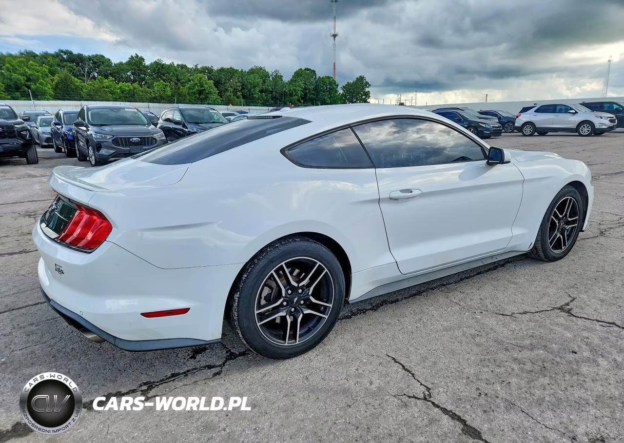 2019 Ford Mustang VIN:1FA6P8TH6K5166590 - 3
