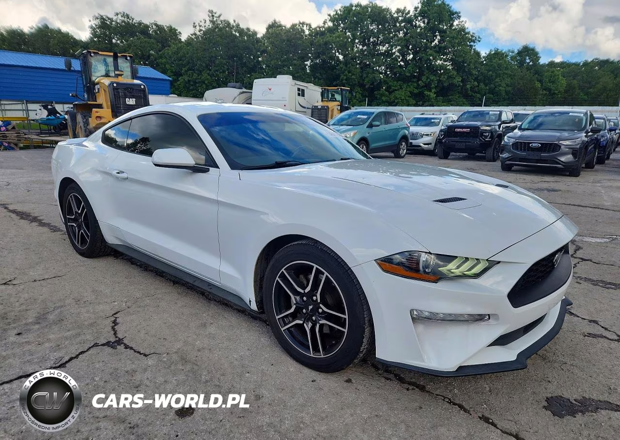 2019 Ford Mustang VIN:1FA6P8TH6K5166590 - 4