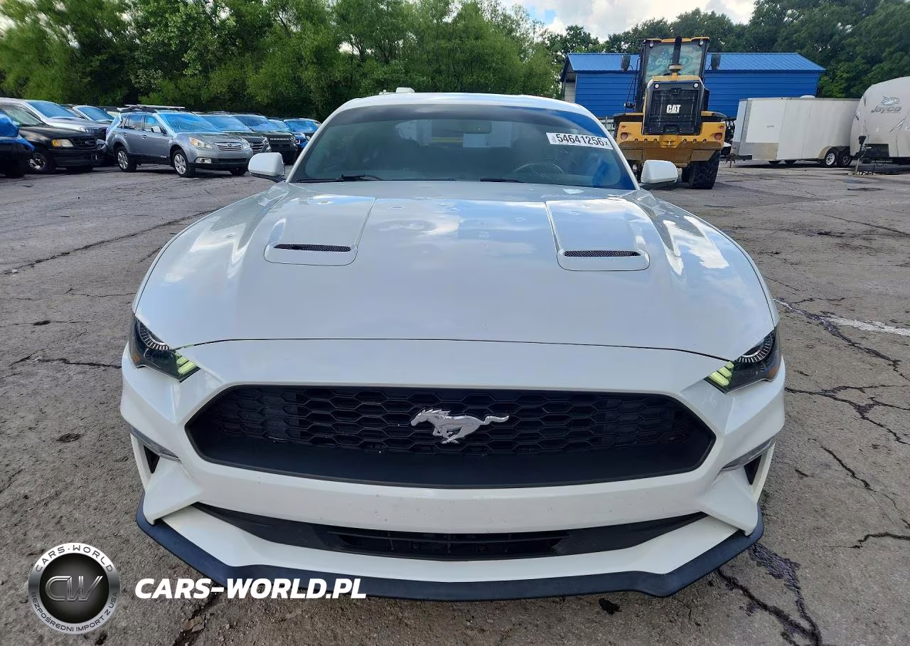 2019 Ford Mustang VIN:1FA6P8TH6K5166590 - 5