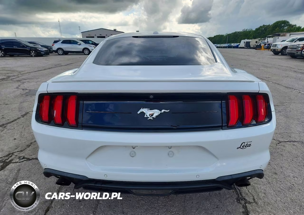 2019 Ford Mustang VIN:1FA6P8TH6K5166590 - 6