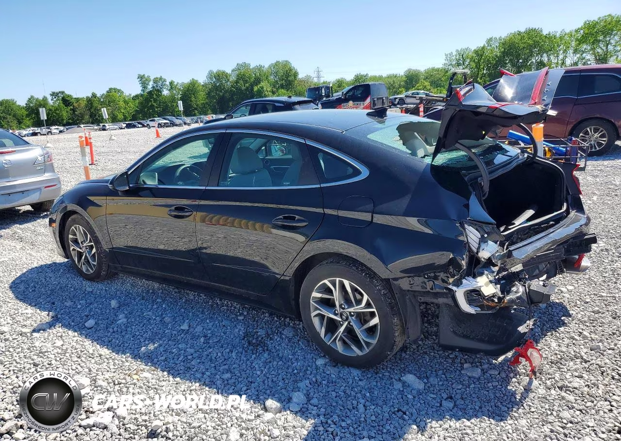 2020 Hyundai Sonata Sel VIN:5NPEL4JA4LH004572 - 2