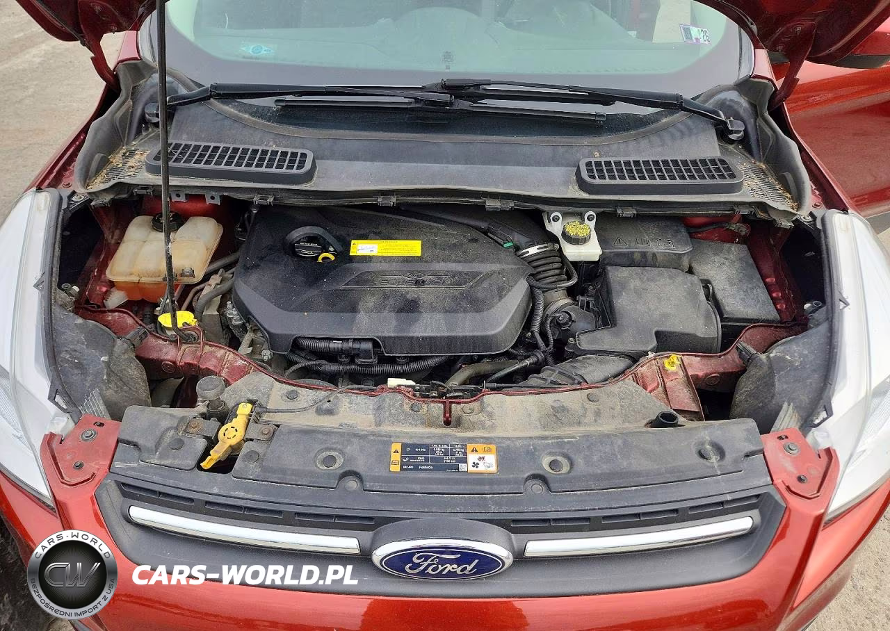 2016 Ford Escape Se VIN:1FMCU9GX0GUA06646 - 12