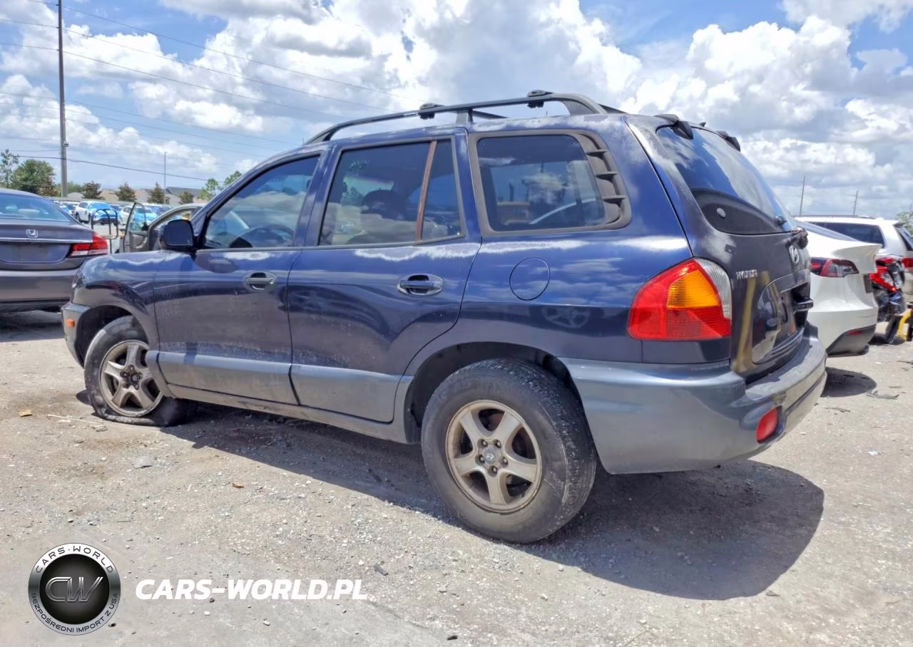 2004 Hyundai Santa Fe Gls VIN:KM8SC13E44U582210 - 2