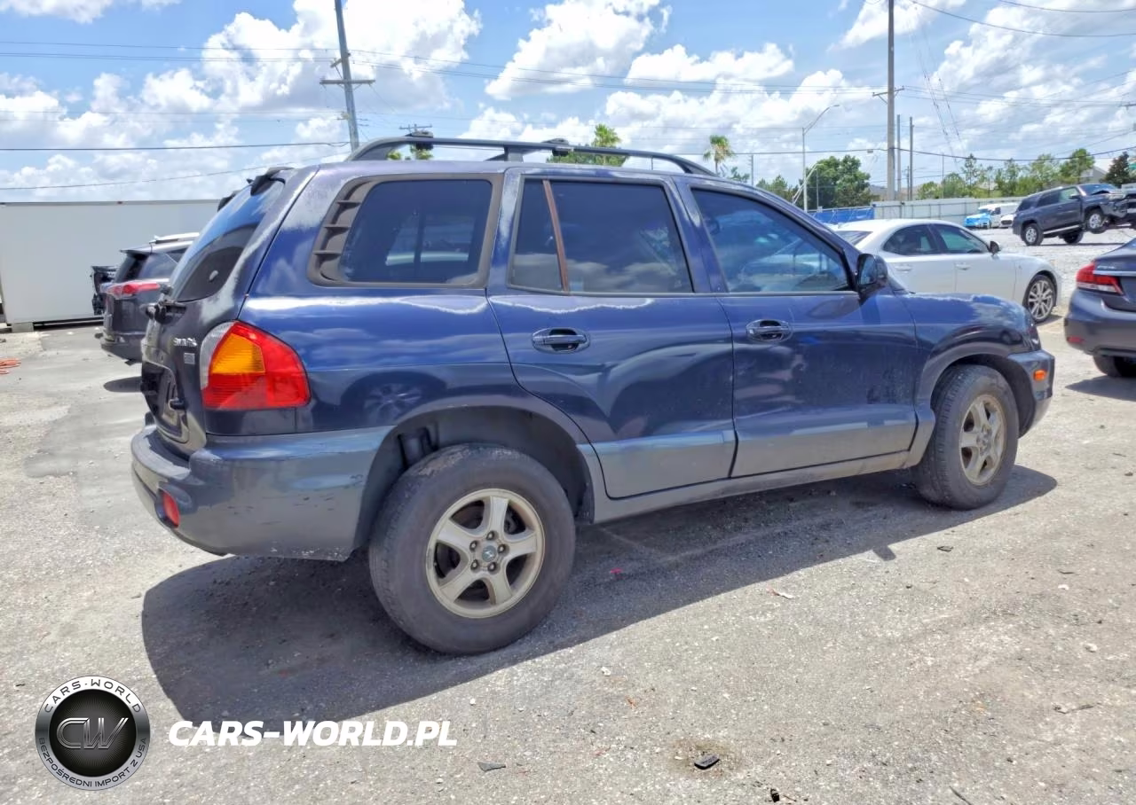 2004 Hyundai Santa Fe Gls VIN:KM8SC13E44U582210 - 3