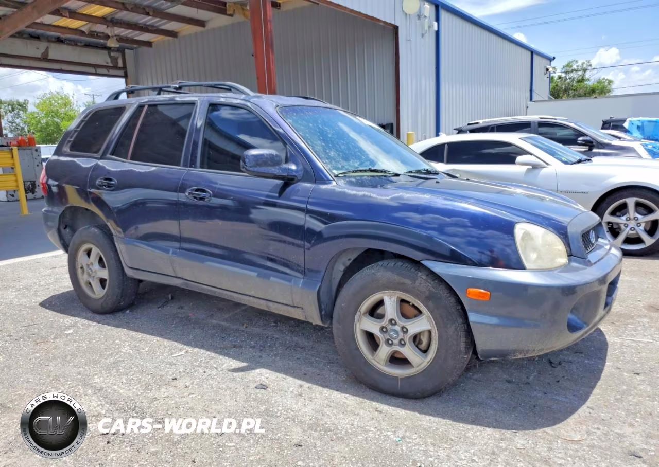 2004 Hyundai Santa Fe Gls VIN:KM8SC13E44U582210 - 4