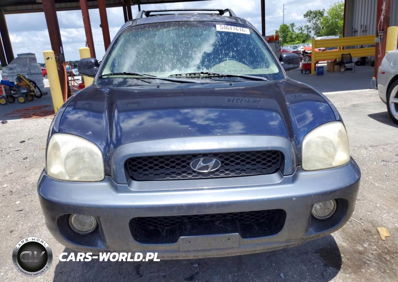 2004 Hyundai Santa Fe Gls VIN:KM8SC13E44U582210 - 5