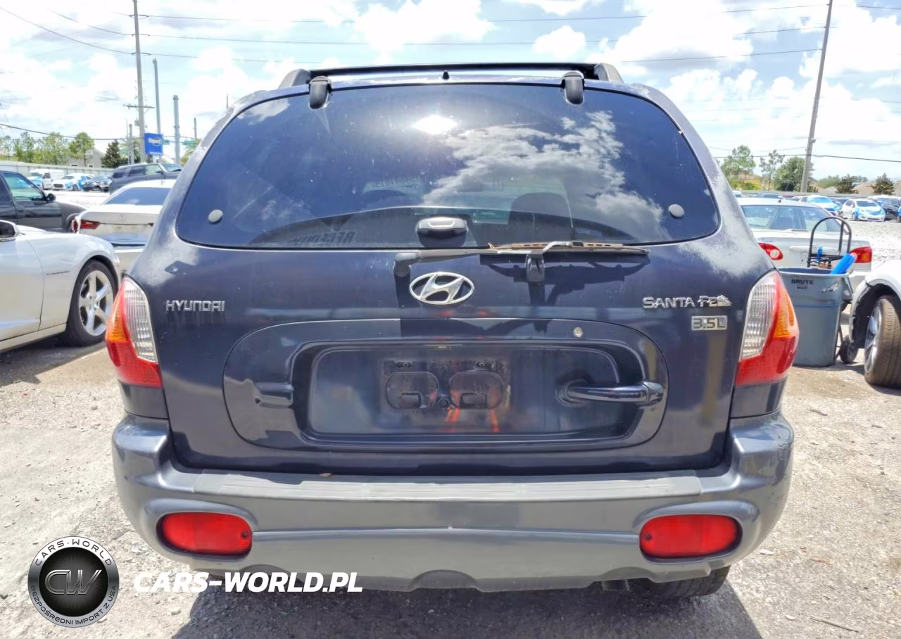 2004 Hyundai Santa Fe Gls VIN:KM8SC13E44U582210 - 6