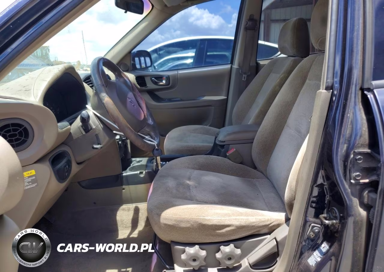 2004 Hyundai Santa Fe Gls VIN:KM8SC13E44U582210 - 7