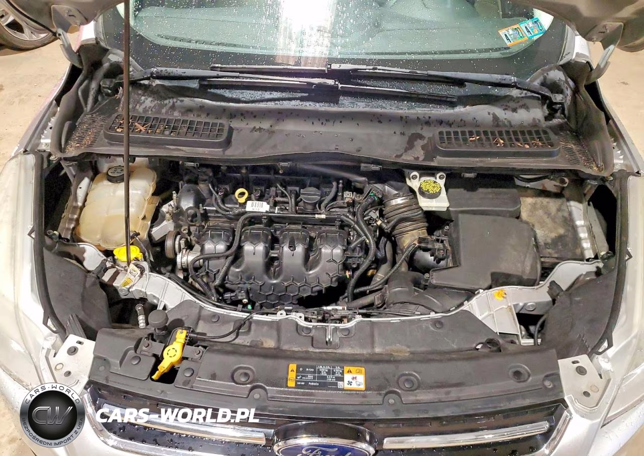 2013 Ford Escape Sel VIN:1FMCU9H95DUC11388 - 12