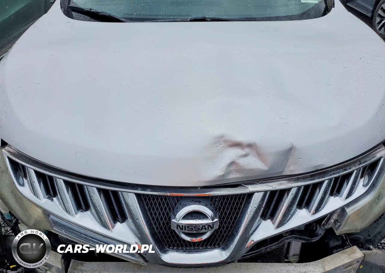 2010 Nissan Murano S VIN:JN8AZ1MW3AW110574 - 12