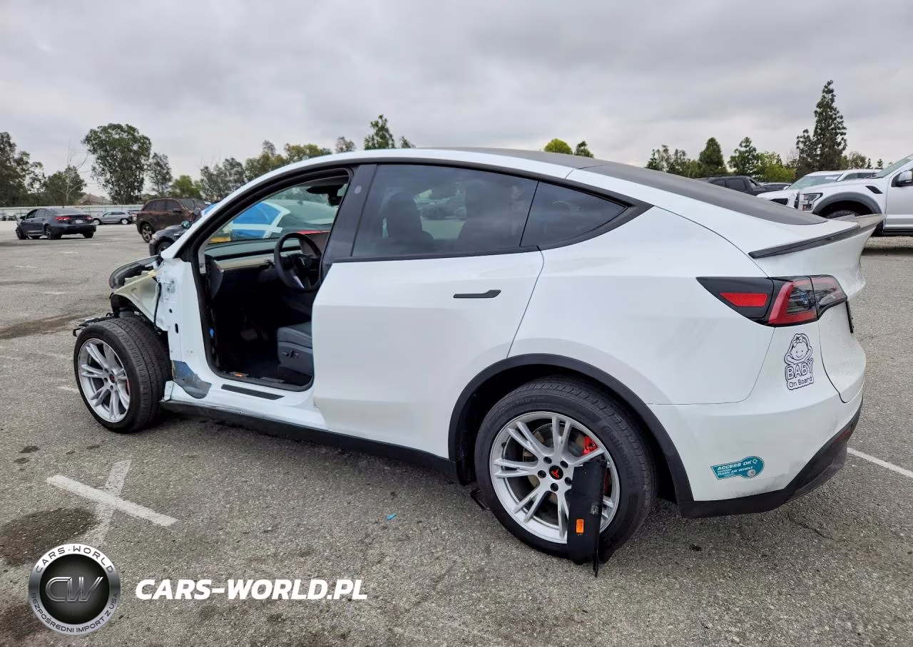 2024 Tesla Model Y VIN:7SAYGDEE9RF075162 - 2
