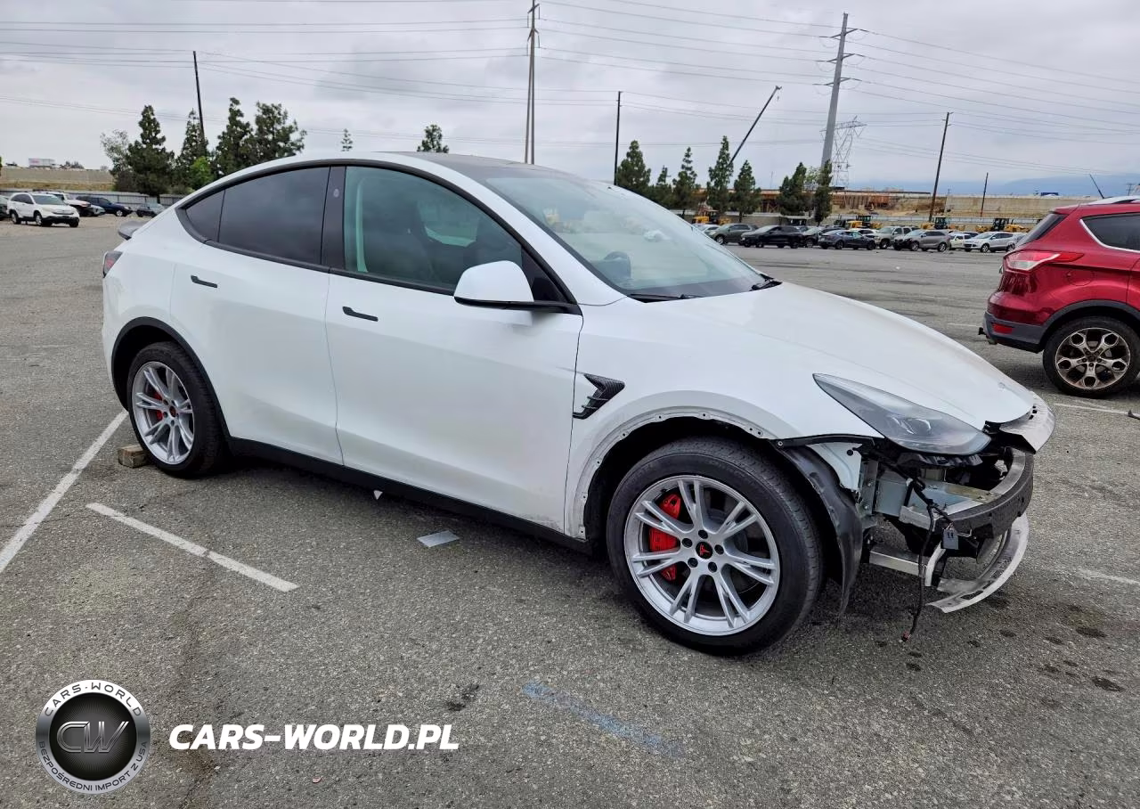 2024 Tesla Model Y VIN:7SAYGDEE9RF075162 - 4