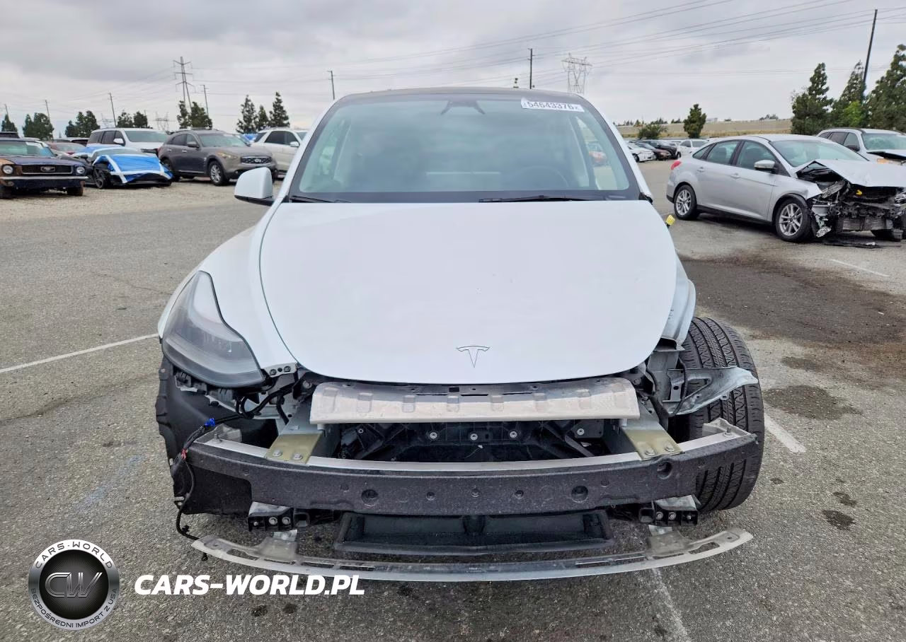 2024 Tesla Model Y VIN:7SAYGDEE9RF075162 - 5