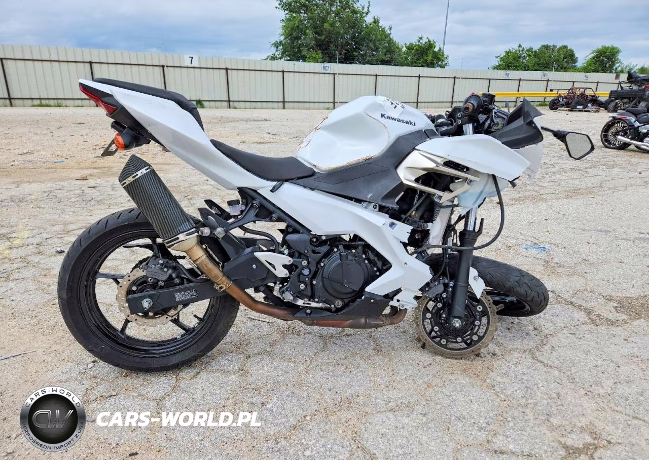 2020 Kawasaki Ninja 1000