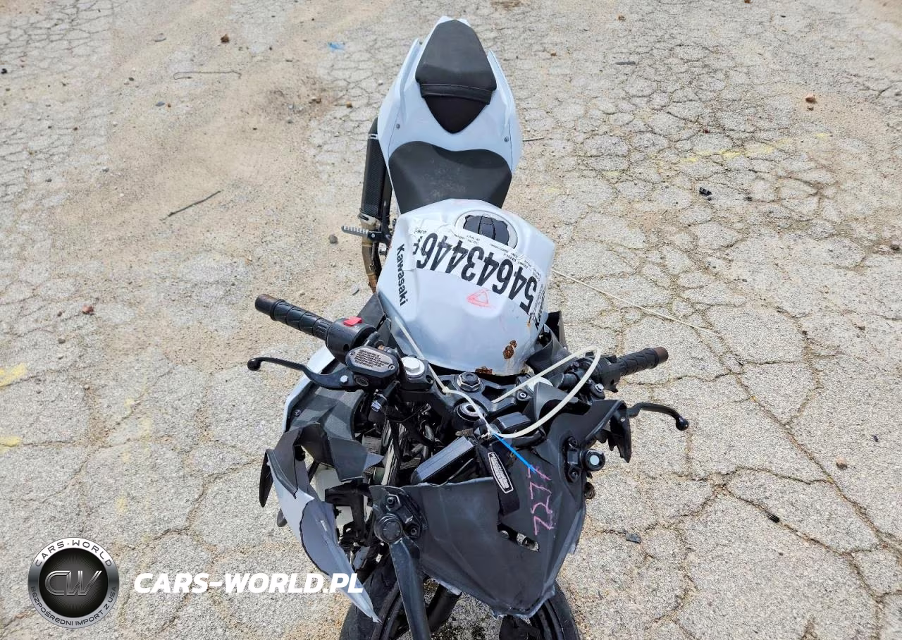 2020 Kawasaki Ninja 1000 VIN:JKAEXKG19LDA81019 - 5
